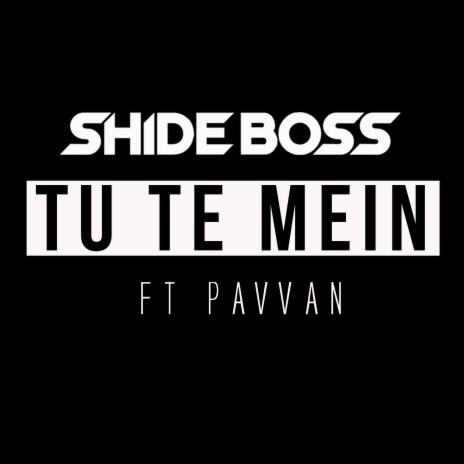 Tu Te Mein ft. Pavvan | Boomplay Music