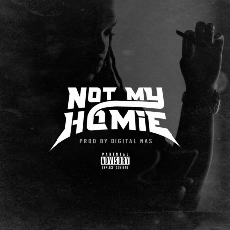 Not My Homie | Boomplay Music