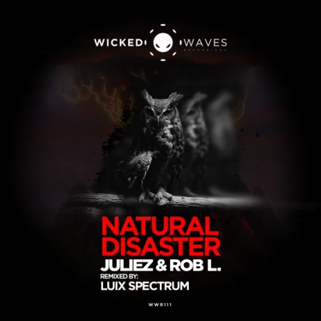 Natural Disaster (Luix Spectrum Remix) ft. Rob L. | Boomplay Music