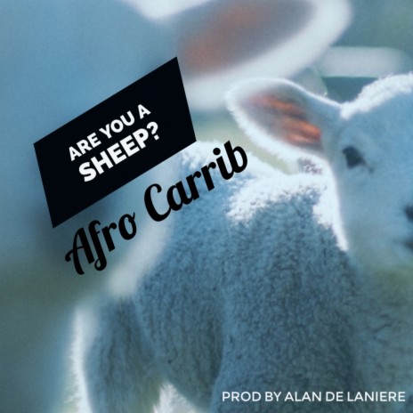 Are You A Sheep? (Original Mix)