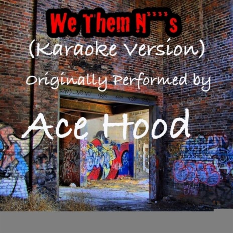 We Them N****s We Them N****s (Karaoke Version) (Originally Performed by Ace Hood) | Boomplay Music