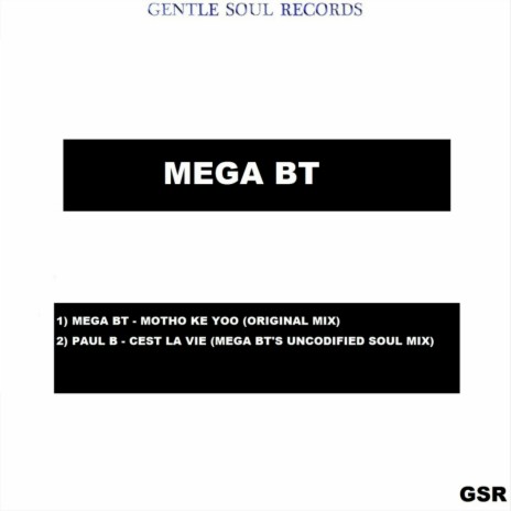 Cest La Vie (Mega Bt's Uncodified Soul Mix) | Boomplay Music