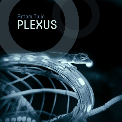 Plexus | Boomplay Music