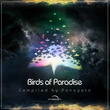 Birds Of Paradise (Original Mix) | Boomplay Music