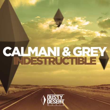 Indestructible (Radio Edit) | Boomplay Music