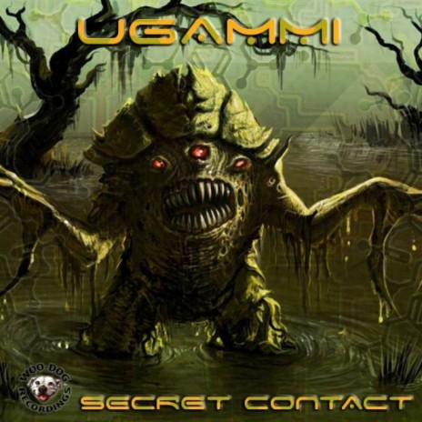 Secret Contact (Original Mix) | Boomplay Music