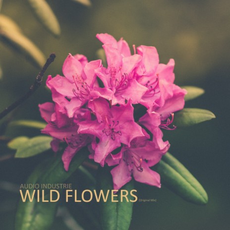 Wild Flowers (Original Mix) | Boomplay Music