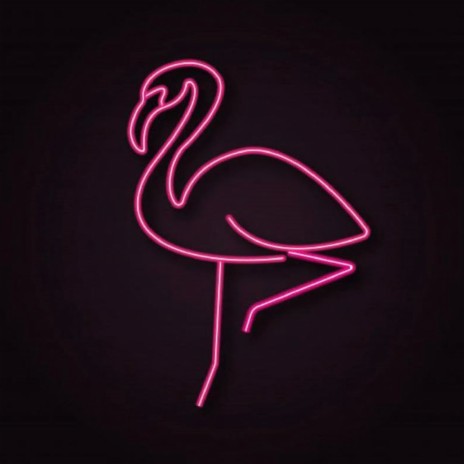 Flamingos | Boomplay Music