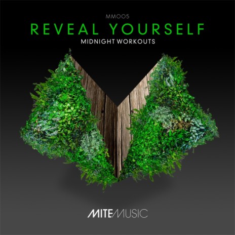 Reveal Yourself (Original Mix) | Boomplay Music