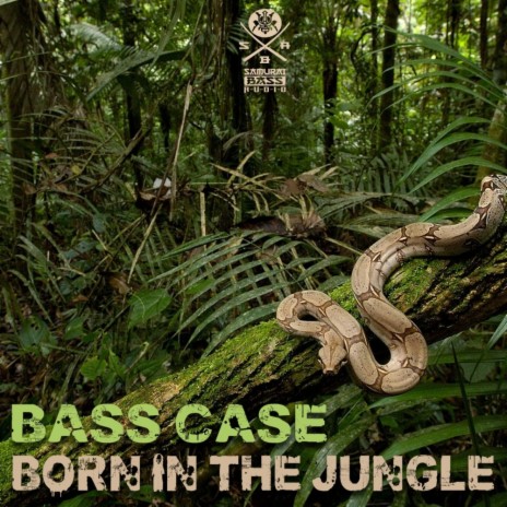 Born In The Jungle (Original Mix)