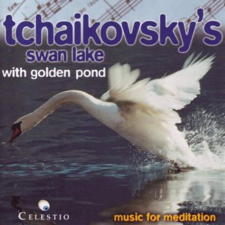 Mazurka - Schwanensee (P.I. Tchaikovsky / Ballet Suite From Swan Lake, Op. 20) | Boomplay Music