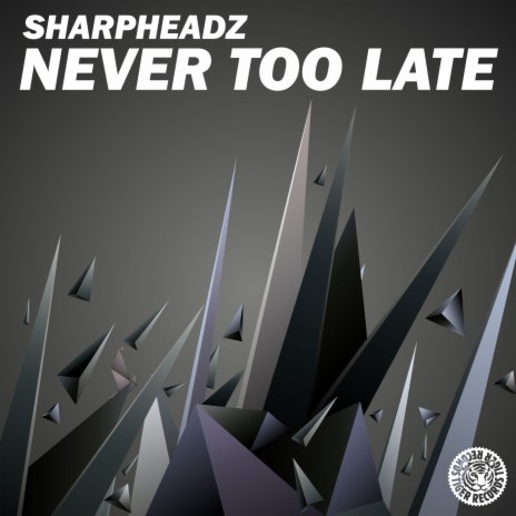 Never Too Late (Radio Edit) | Boomplay Music