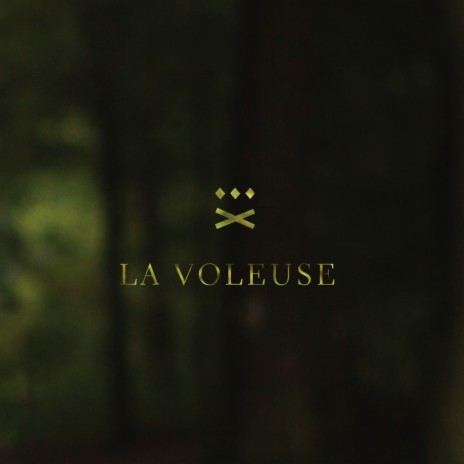 La voleuse | Boomplay Music