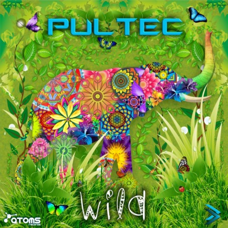 Wild (Original Mix)