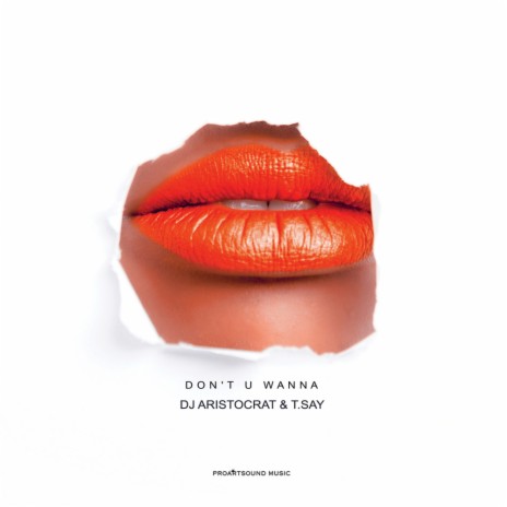 Don't U Wanna (Moe Turk RMX) ft. T.Say