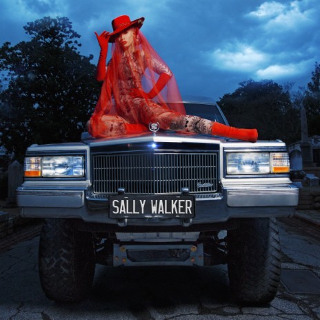 Sally Walker | Boomplay Music