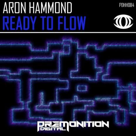 Ready To Flow (Original Mix)