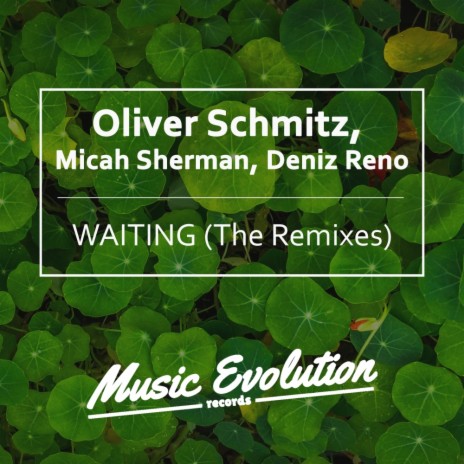 Waiting (Armando Junior Remix) ft. Micah Sherman & Deniz Reno | Boomplay Music