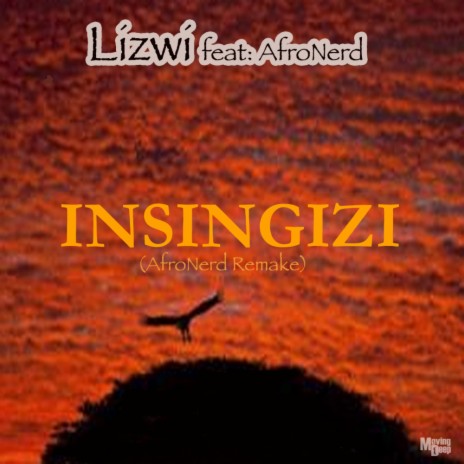 Insingizi (Afronerd Remake) | Boomplay Music