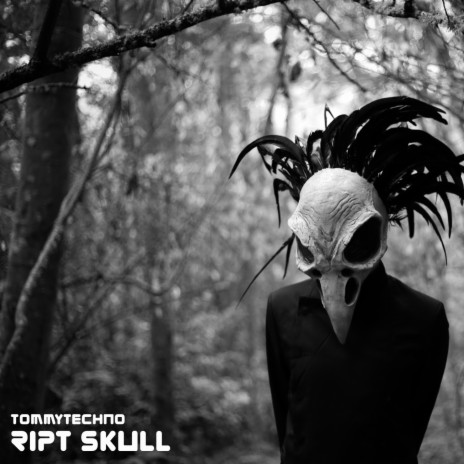 Ript Skull | Boomplay Music