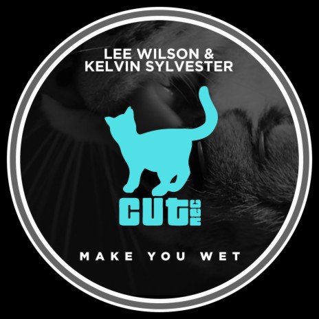 Make You Wet ft. Kelvin Sylvester | Boomplay Music