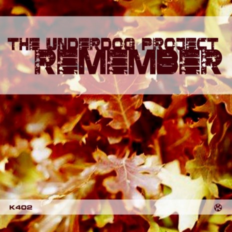 Remember (Original Mix) | Boomplay Music