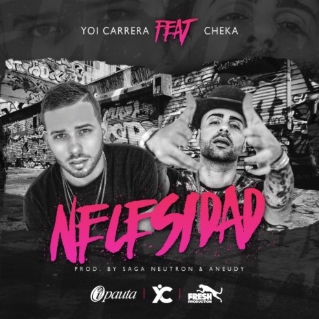 Necesidad (feat. Cheka) | Boomplay Music