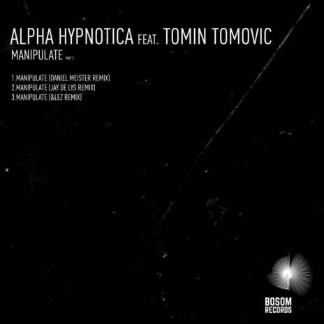 Manipulate (Daniel Meister Remix) ft. Tomin Tomovic