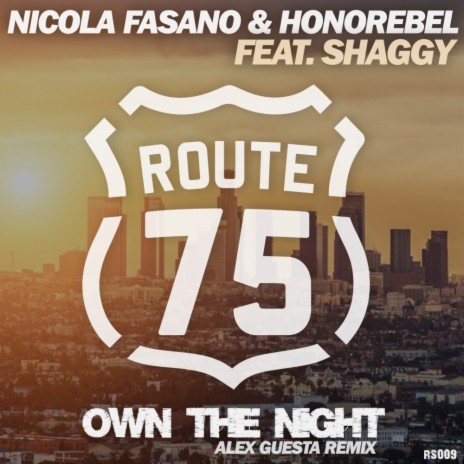 Own The Night (Alex Guesta Tribal Mix) ft. Honorebel & Shaggy | Boomplay Music