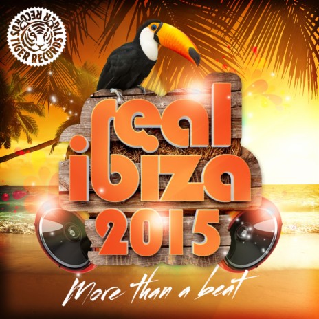 Real Ibiza 2015 Mixed by Patrick Ferryn | Boomplay Music