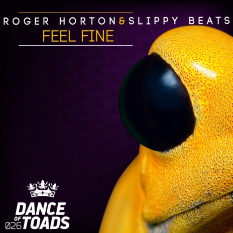Feel Fine (Radio Edit) ft. Slippy Beats | Boomplay Music