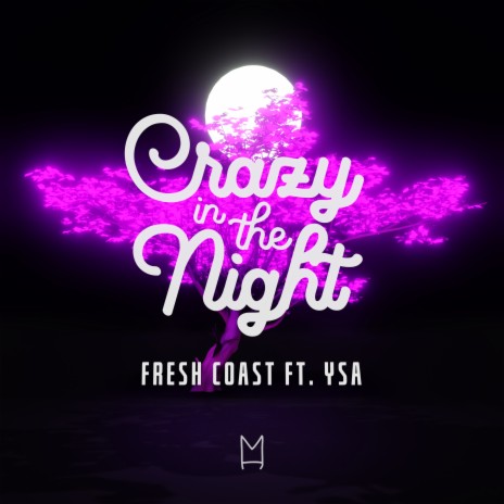 Crazy In The Night ft. YSA | Boomplay Music