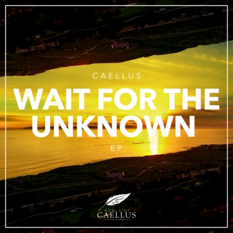 Wait For Me (Original Mix) | Boomplay Music