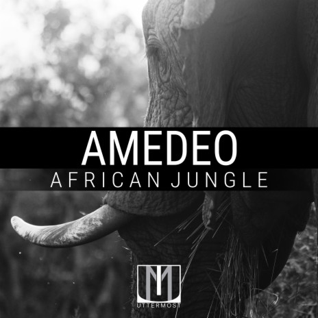 African Jungle (Radio Mix)