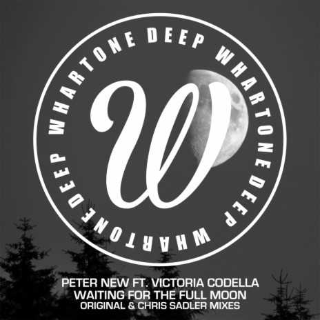 Waiting For The Full Moon (Instrumental Mix) ft. Victoria Codella | Boomplay Music