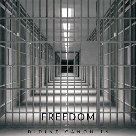 Freedom | Boomplay Music