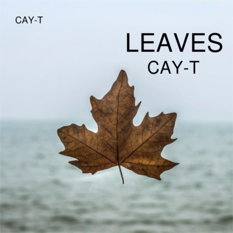 Leaves (Original Mix)