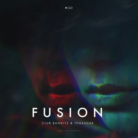 Fusion (Original Mix) ft. Tenashar | Boomplay Music