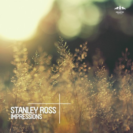 Impressions (Radio Edit) | Boomplay Music