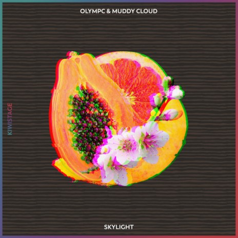 Skylight (Original Mix) ft. Muddy Cloud | Boomplay Music