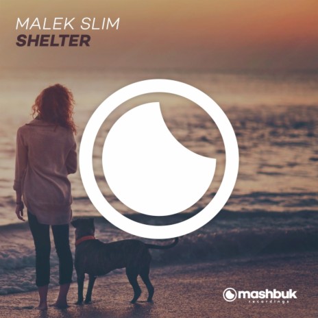 Shelter (Original Mix) | Boomplay Music