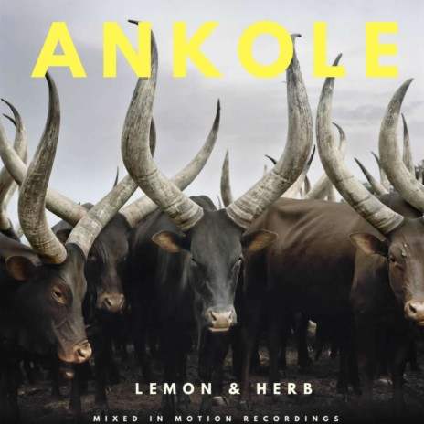 Ankole (Original Mix) | Boomplay Music