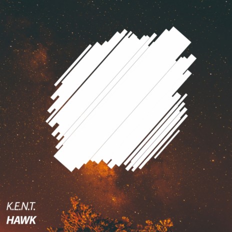 Hawk (Original Mix)