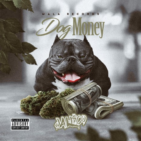 Dog Money | Boomplay Music