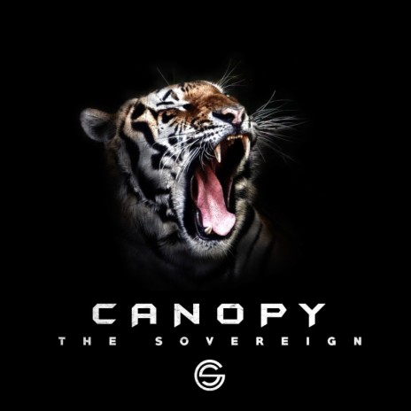 Canopy (Original Mix) | Boomplay Music