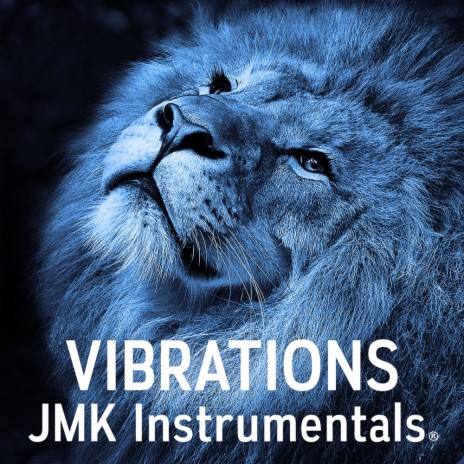Vibrations (Emotional Mystic Flute Type) | Boomplay Music