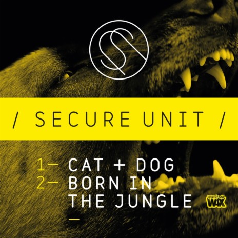 Cat & Dog (Original Mix) | Boomplay Music