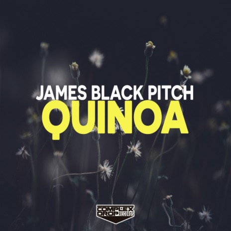 Quinoa (Original Mix) | Boomplay Music