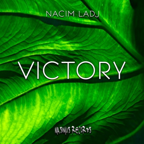 Victory | Boomplay Music