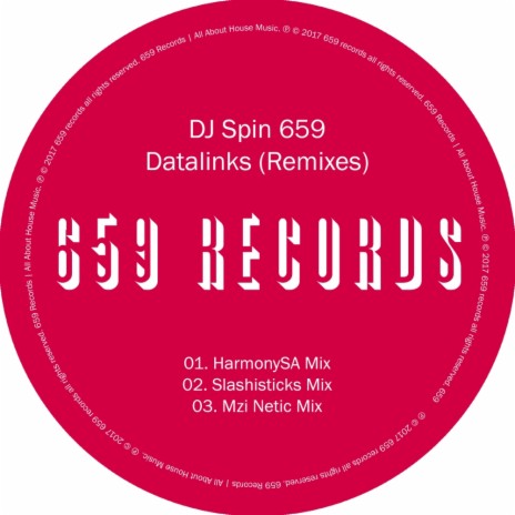Datalinks (Mzi Netic Remix) | Boomplay Music